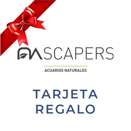 nascapers827506