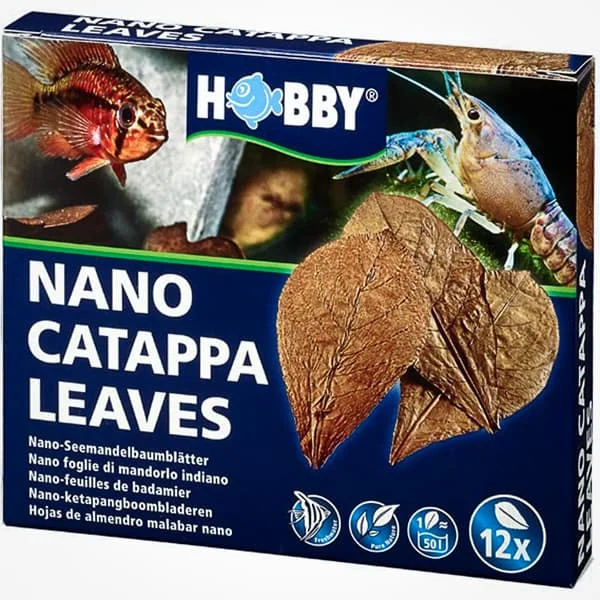 nascapers830803