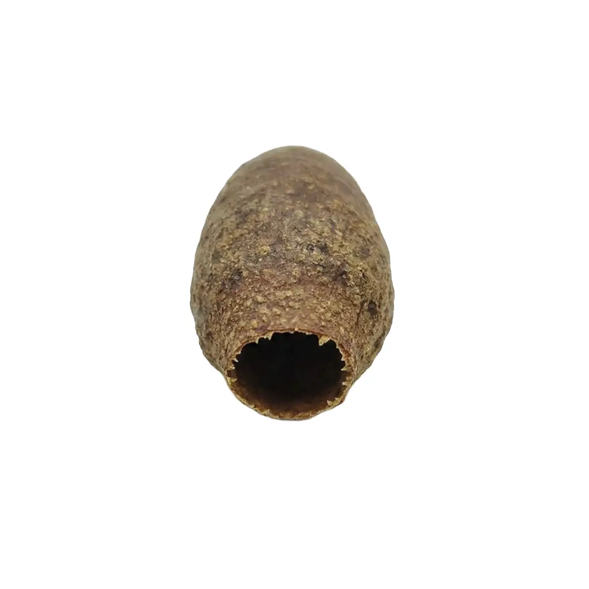 nascapers858698