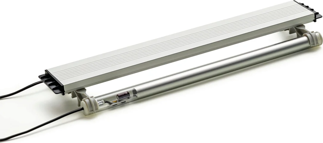 olibetta10434