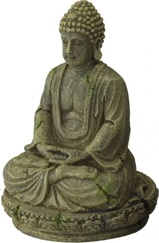 olibetta1058