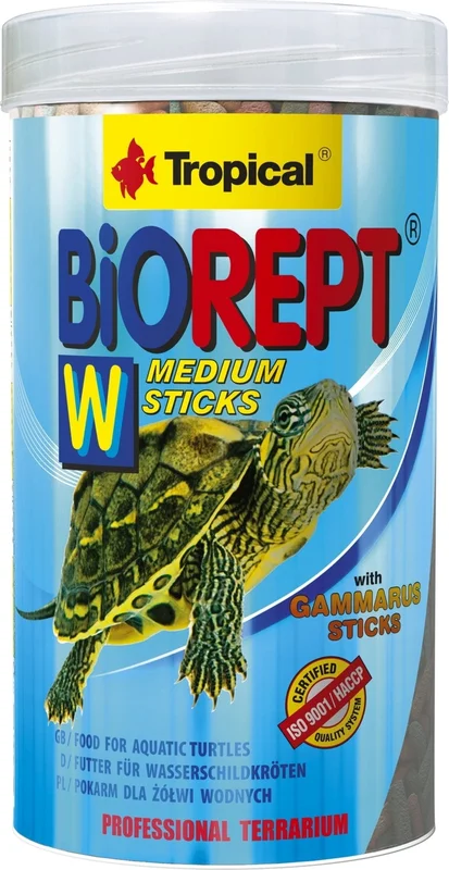 olibetta10773