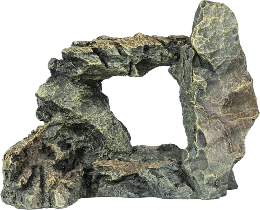olibetta1167