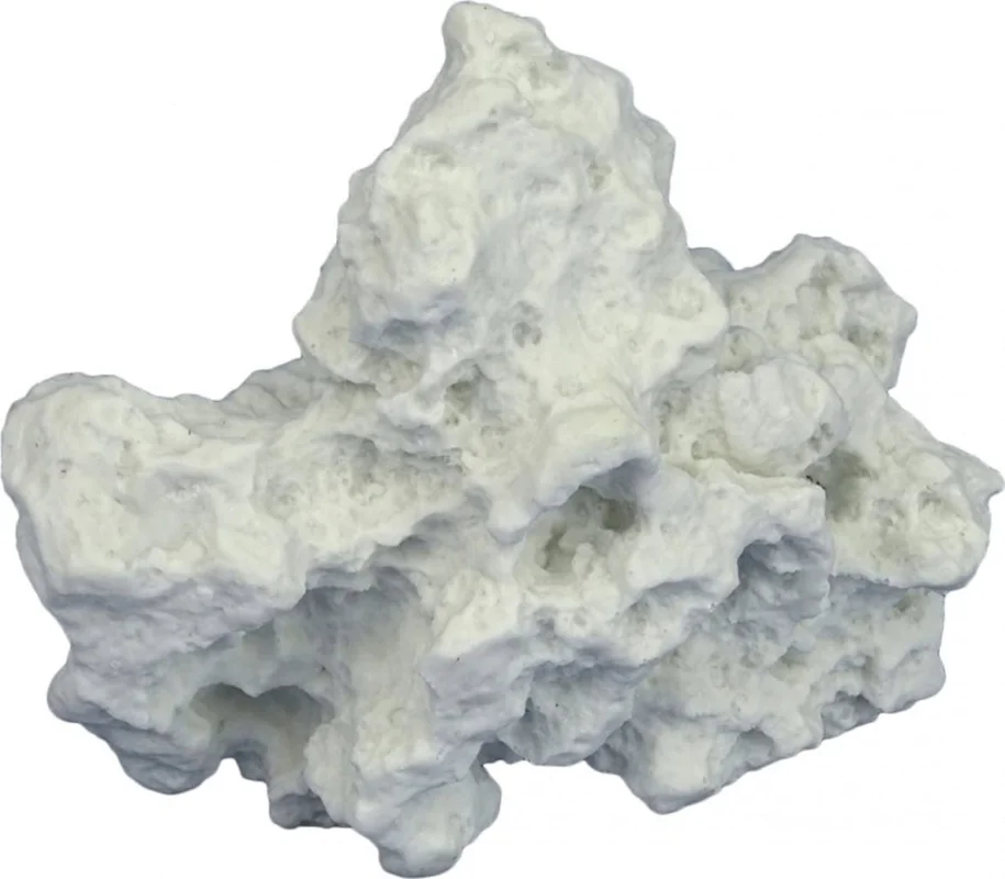 olibetta1193