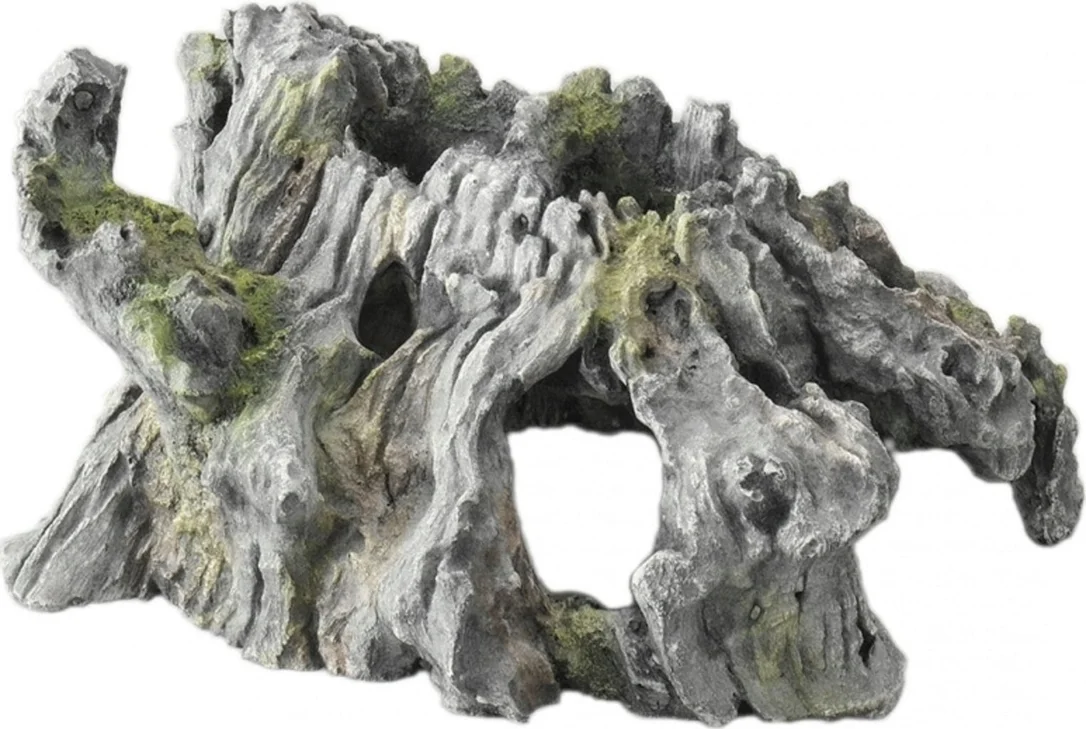 olibetta12