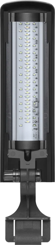 olibetta12977