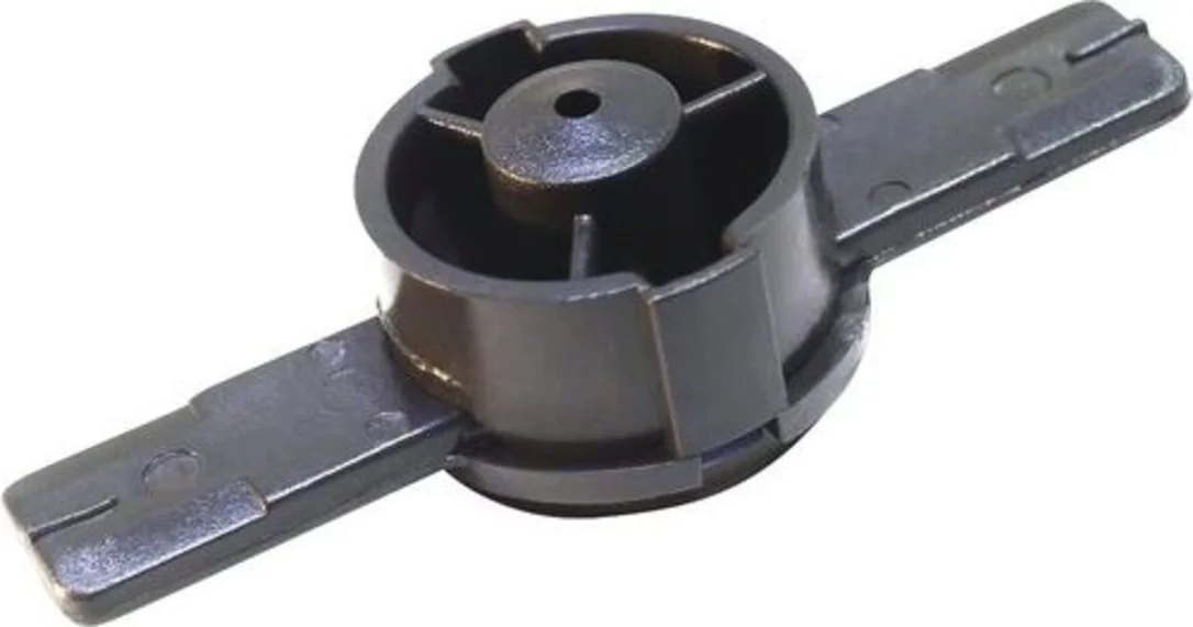 olibetta13279