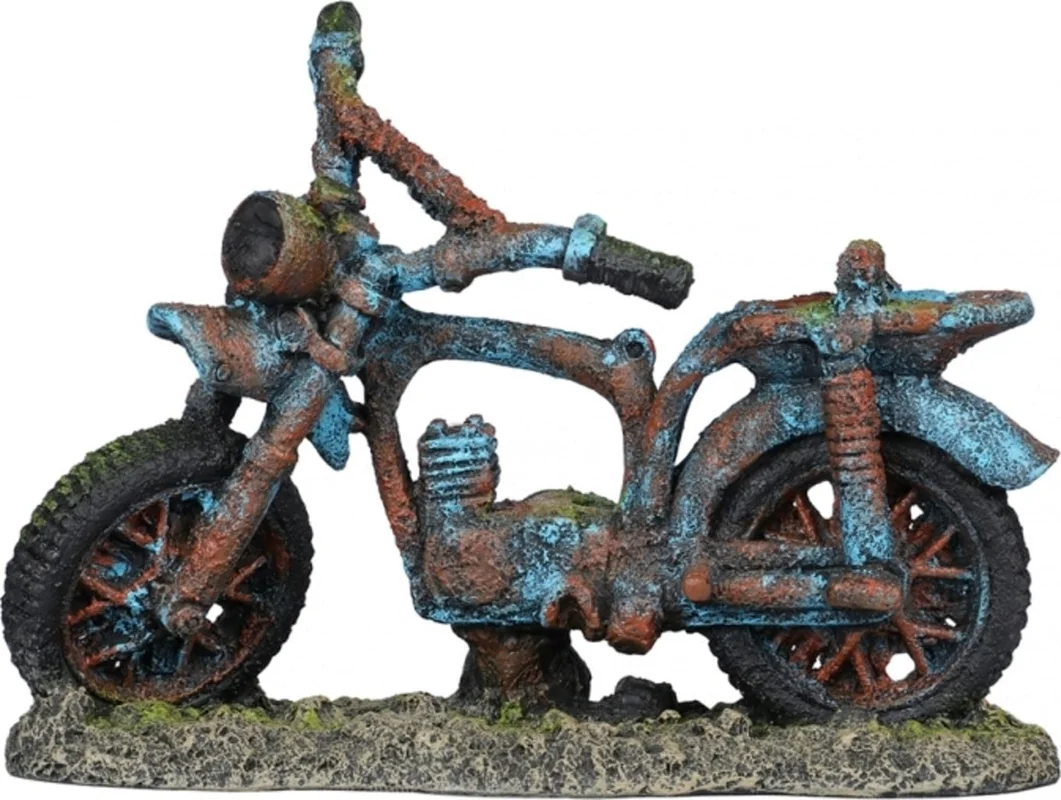 olibetta1330