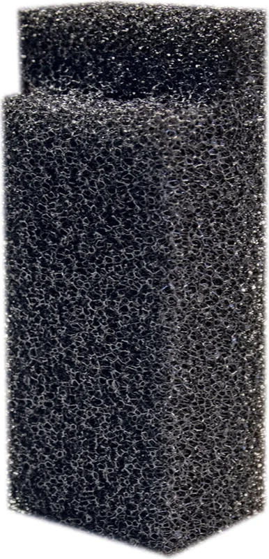 olibetta13318