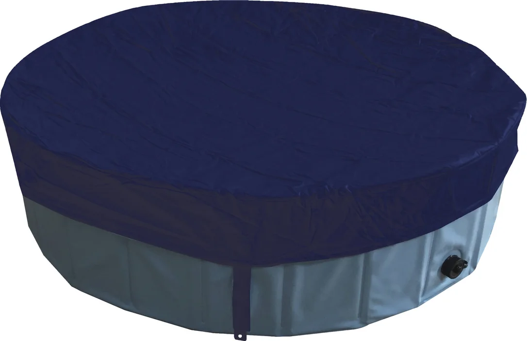 olibetta13503
