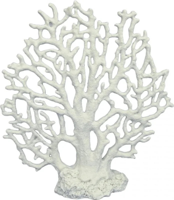olibetta1355