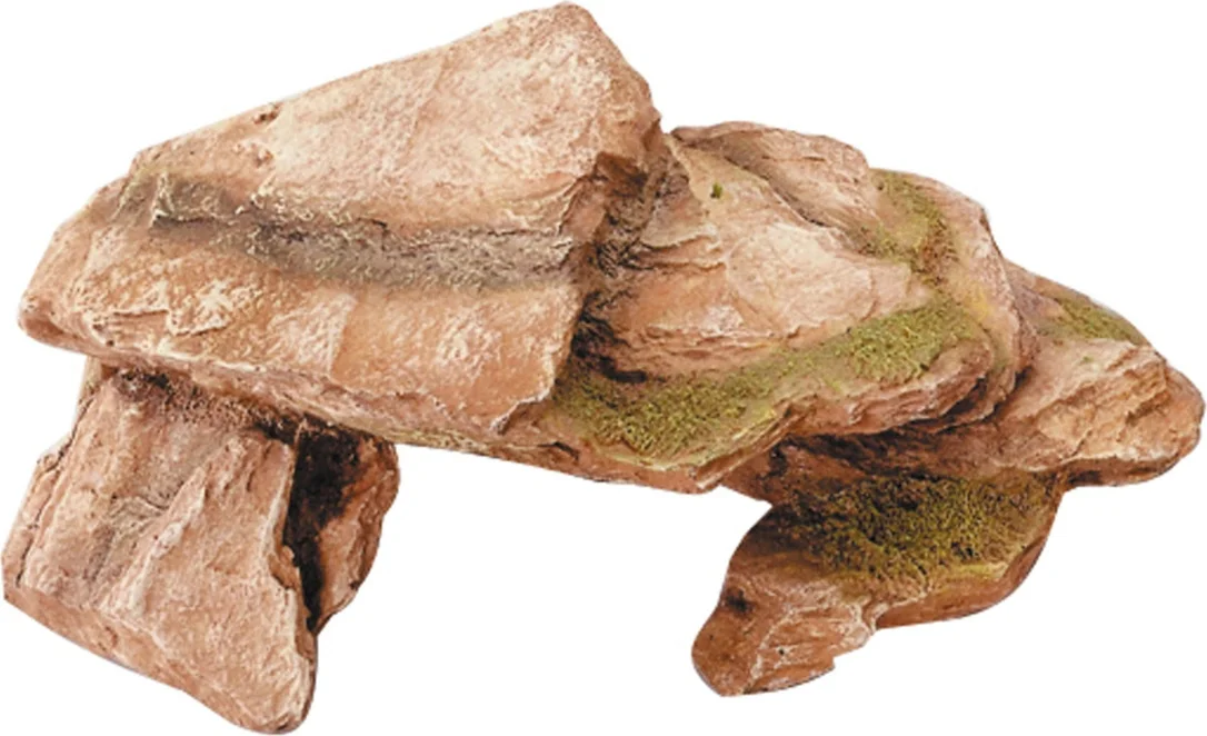 olibetta13869