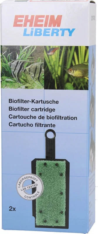 olibetta13895