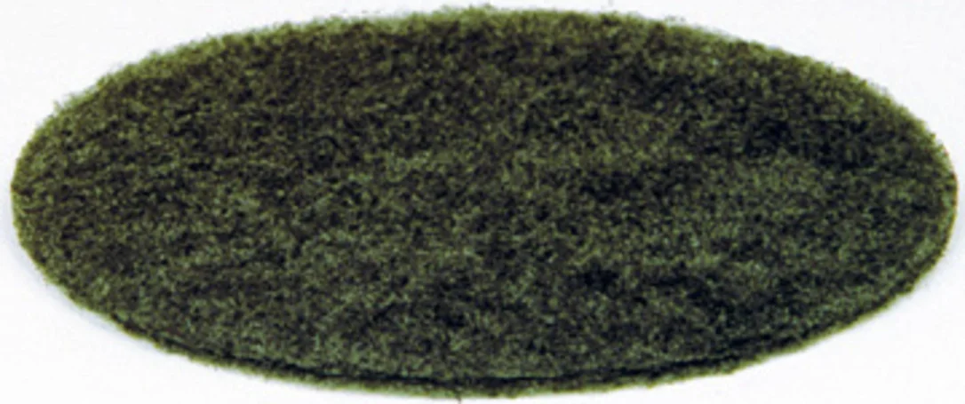 olibetta13920