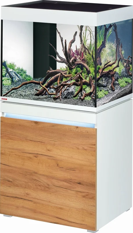 olibetta14279
