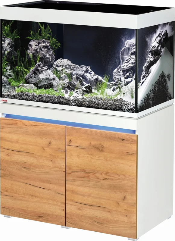 olibetta14288