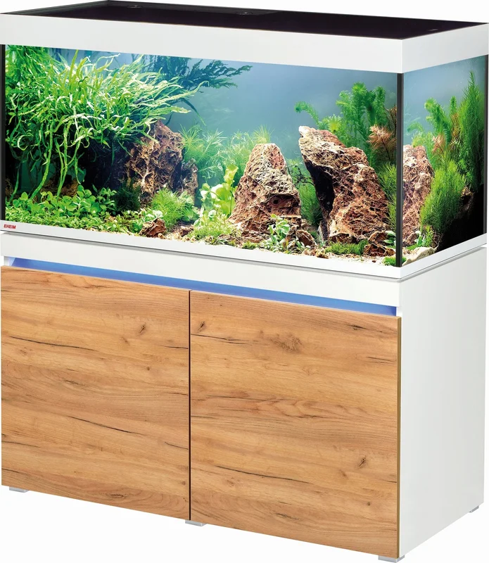 olibetta14295