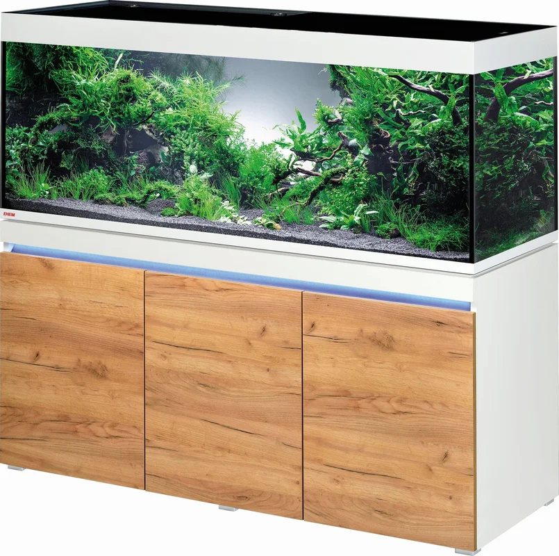 olibetta14305