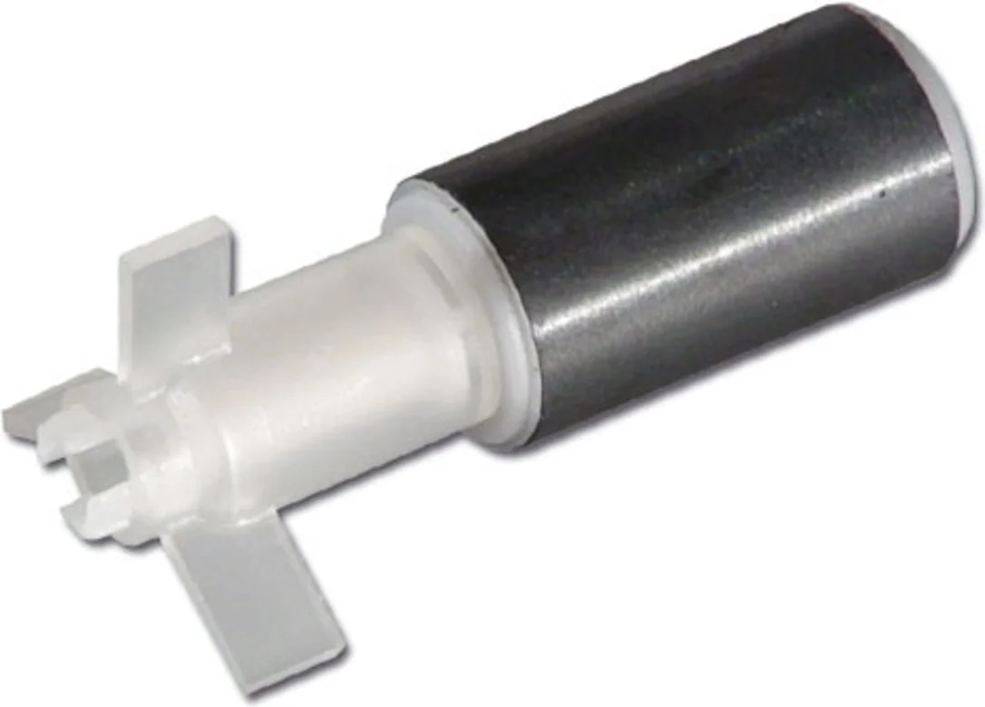 olibetta14568