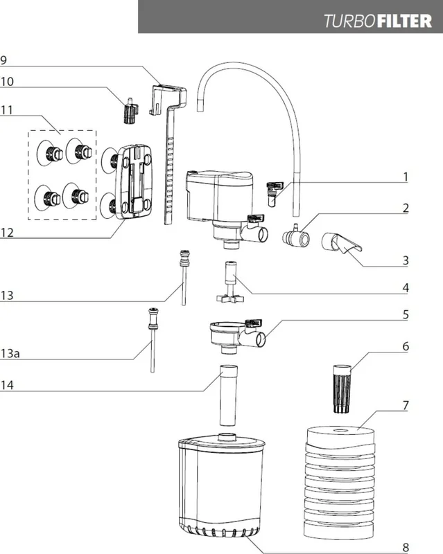 olibetta14764