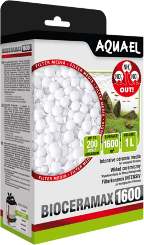olibetta15004