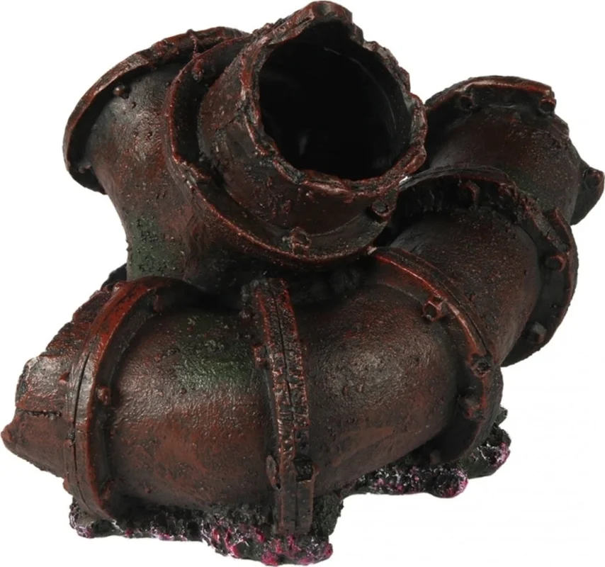 olibetta1518