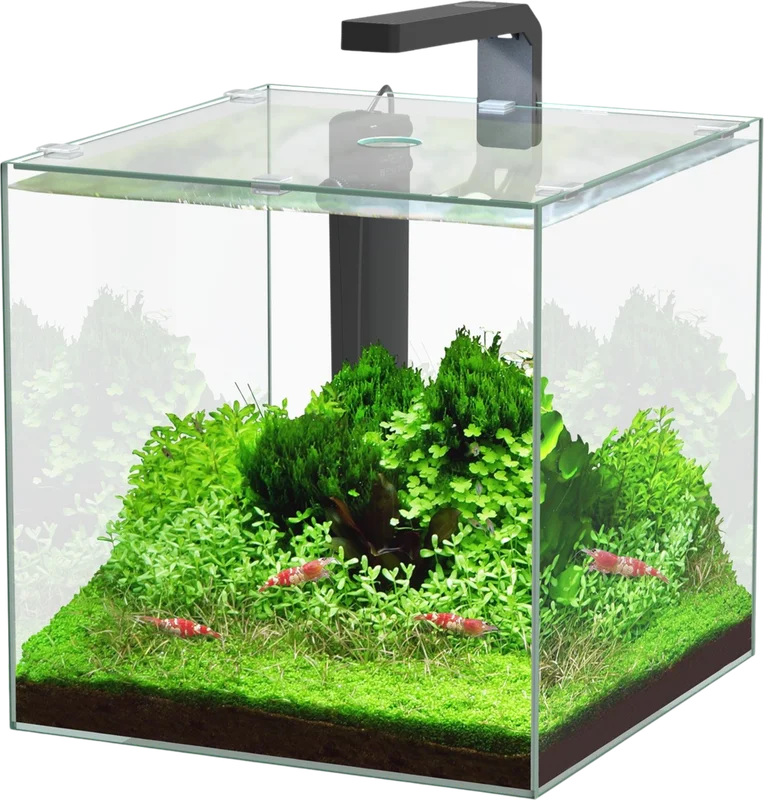 olibetta15242