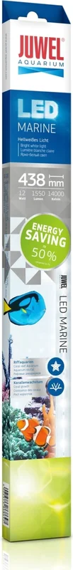 olibetta15363