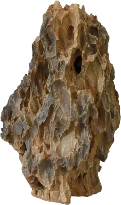 olibetta15417