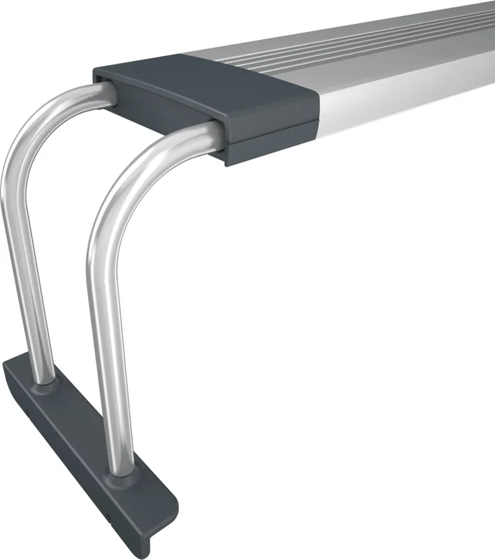 olibetta16275