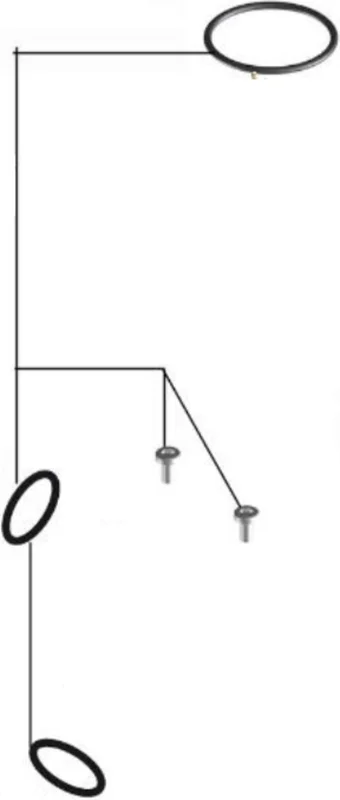 olibetta16548