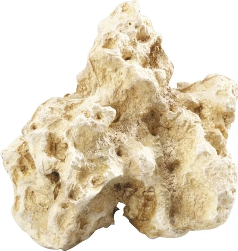 olibetta18