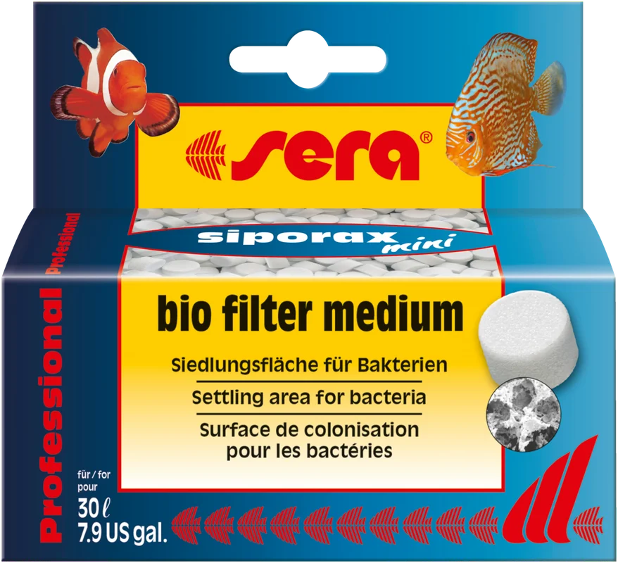 olibetta18355