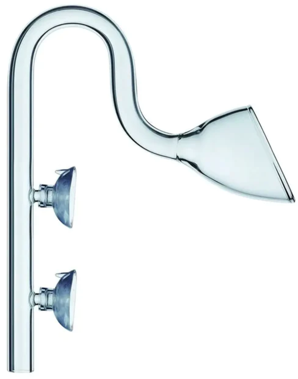 olibetta18484