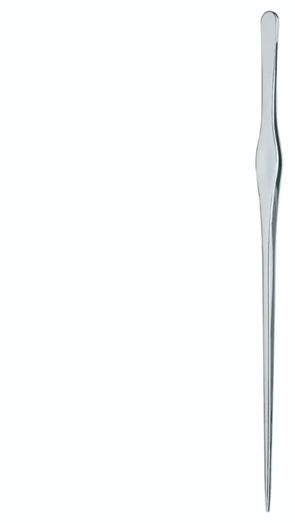 olibetta18509