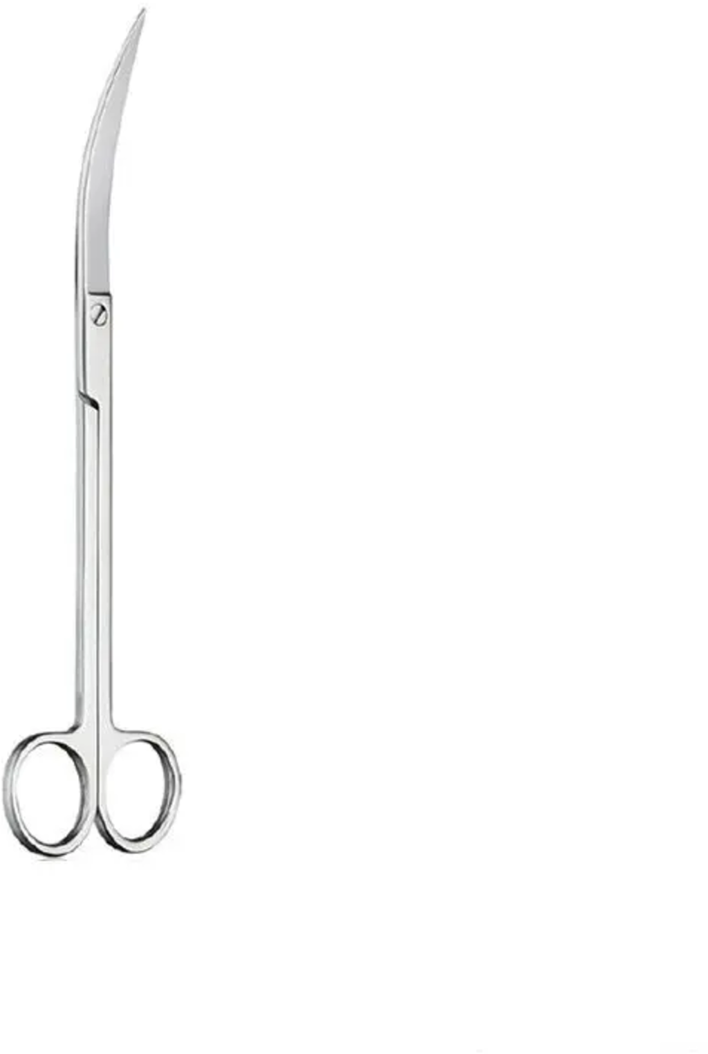 olibetta18526