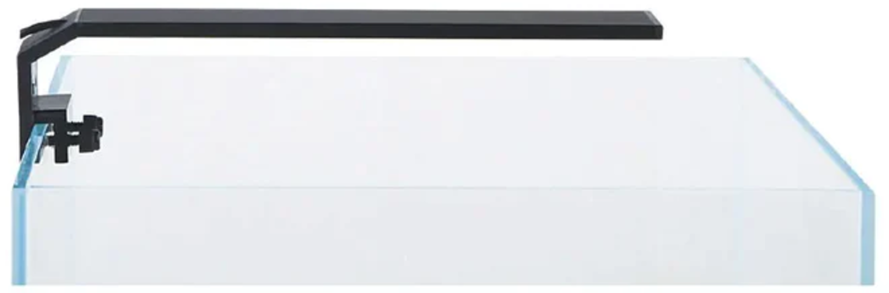 olibetta18584