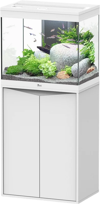 olibetta20667