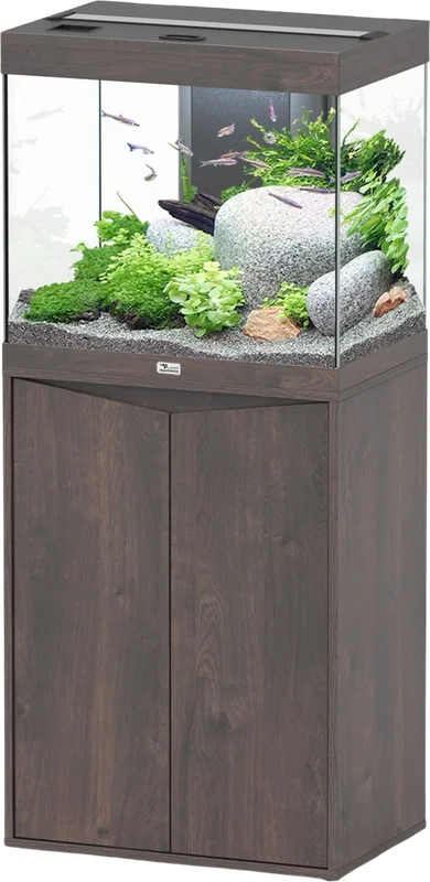 olibetta20677