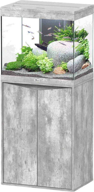 olibetta20685
