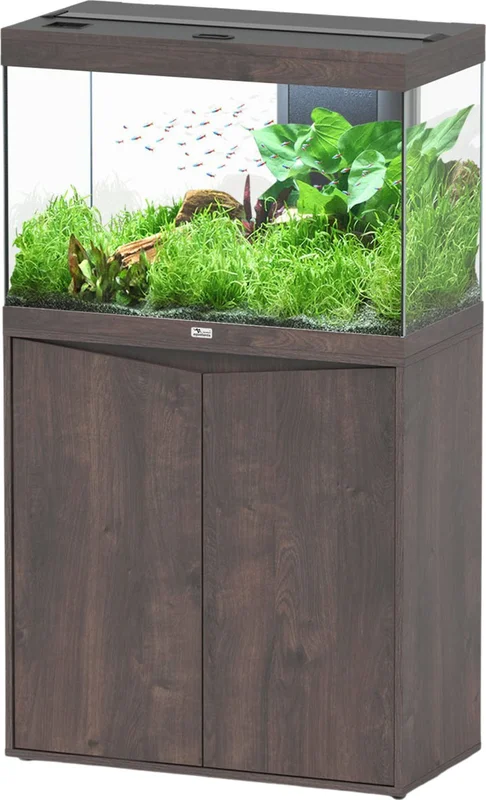 olibetta20703