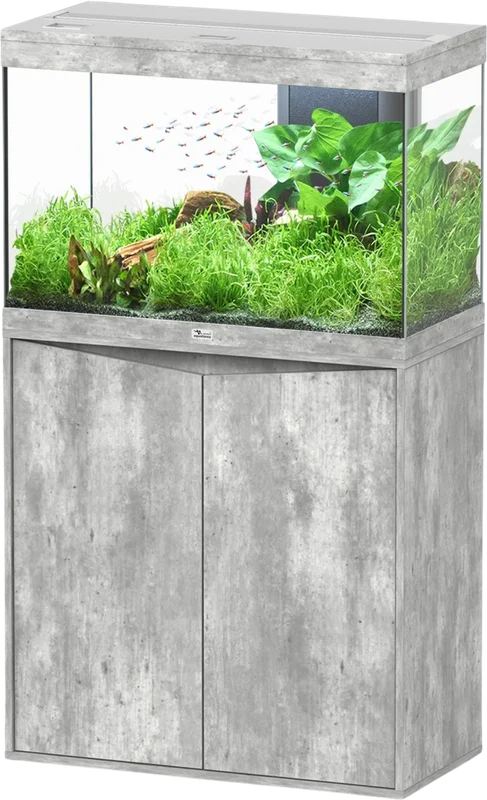 olibetta20713