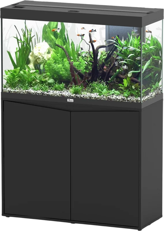 olibetta20725