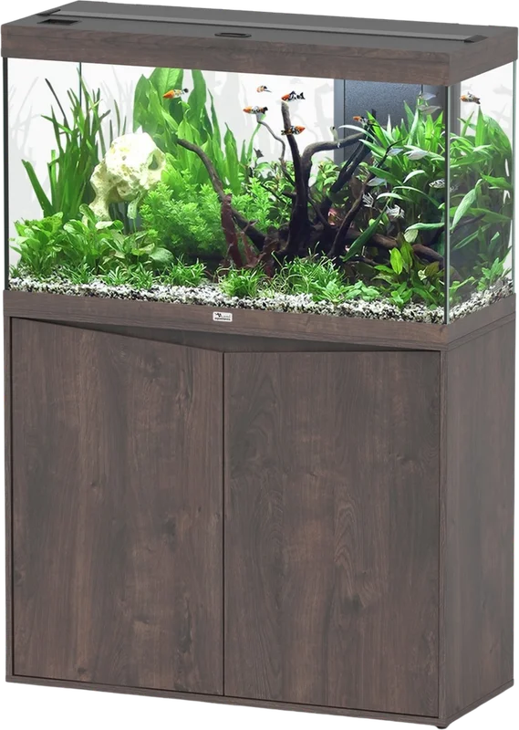 olibetta20740