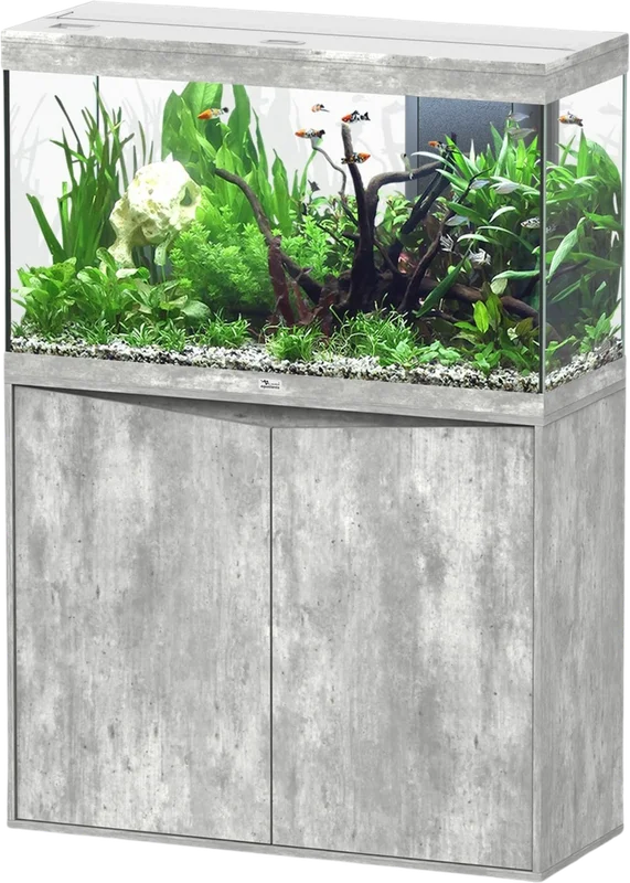 olibetta20748
