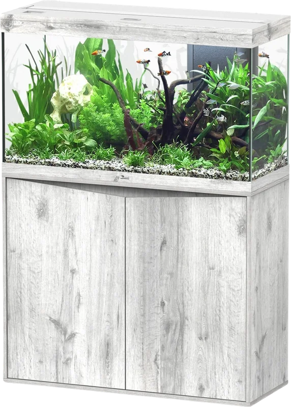 olibetta20759