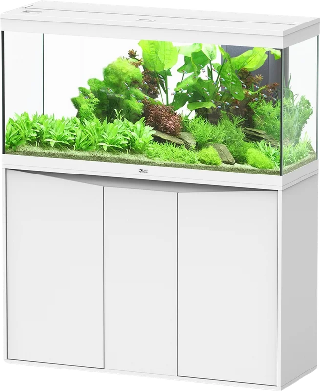 olibetta20775