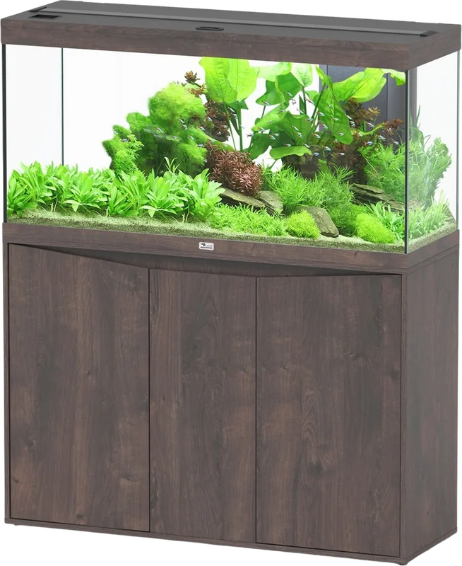 olibetta20781