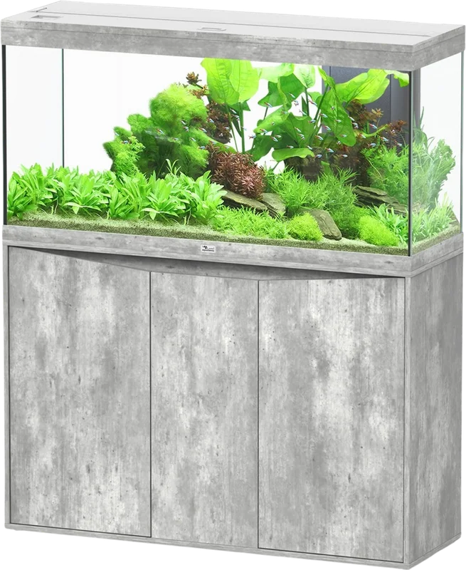 olibetta20791