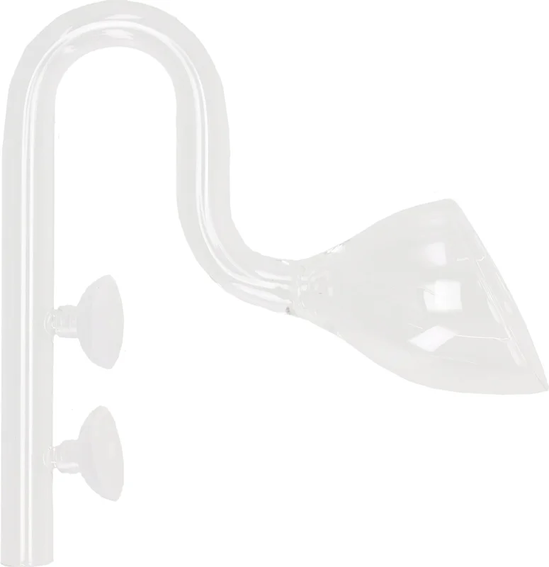 olibetta20826
